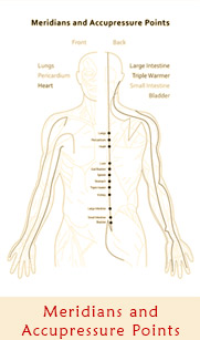 Meridians and Accupressure